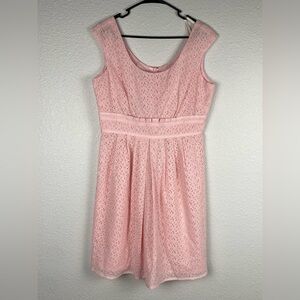 Talbots pink lace sleeveless fit and flare eyelet dress women’s size 10P NWT